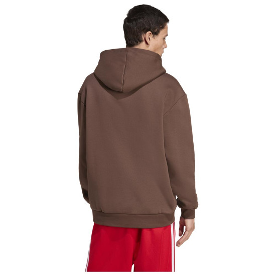 Adidas Ανδρικό φούτερ Graphic Hoodie